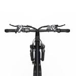 Pudari C29 Electric Bike - 250W, 21 Speed