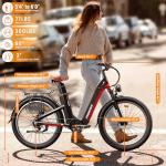 FREESKY Dual Battery 48V Step-Thru Electric Bike