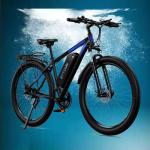 Pudari C29 Electric Bike - 250W, 21 Speed