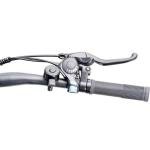 Carpat GB1 Electric Mountain Bike for Adults