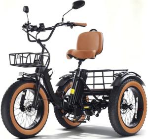 KAKIGO 48V Electric Trike with Fat Tires