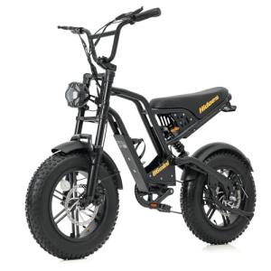 iENYRID Adult Electric Bike with Dual Suspension