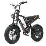 iENYRID Adult Electric Bike with Dual Suspension