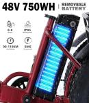 NOMIGO Adult Folding Electric Tricycle with 90km Range