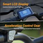 iENYRID Adult Electric Bike with Dual Suspension