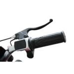 Kids Electric Dirt Bike FALCON X 800W