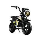 350W 36V Electric Bike for Kids Ages 3-12