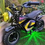 350W 36V Electric Bike for Kids Ages 3-12