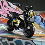 350W 36V Electric Bike for Kids Ages 3-12