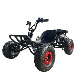 200cc Gas Go Kart - Fast, Fun, Off-Road