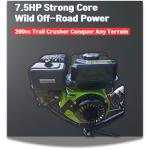 200cc Gas Go Kart - Fast, Fun, Off-Road