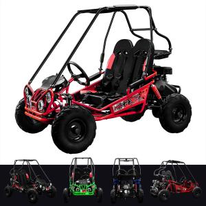 163cc 2-Seater Powerful Petrol Go Kart