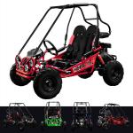 163cc 2-Seater Powerful Petrol Go Kart