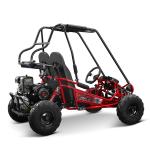 163cc 2-Seater Powerful Petrol Go Kart