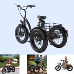 20 Inch Foldable Electric Tricycle with Fat Tires