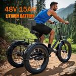 20" Folding Electric Tricycle with Fat Tires