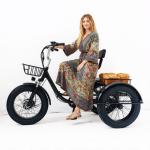 20 Inch Foldable Electric Tricycle with Fat Tires