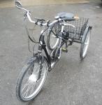 E-Mission Electric Adult Tricycle for Active Riders