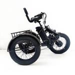 20 Inch Foldable Electric Tricycle with Fat Tires