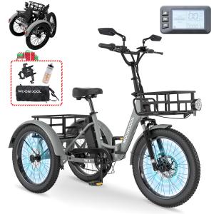MOONCOOL Folding Electric Tricycle with Fat Tires