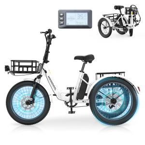20" Electric Tricycle with Fat Tires and Baskets