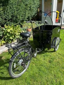 Cangoo Cargo Electric Tricycle 36V 6-Speed