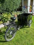 Cangoo Cargo Electric Tricycle 36V 6-Speed