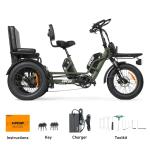 VIPCOO R1 Fat Tire 3-Wheel Electric Bike