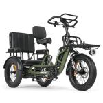 VIPCOO R1 Fat Tire 3-Wheel Electric Bike