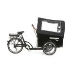 Cangoo Cargo Electric Tricycle 36V 6-Speed