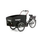 Cangoo Cargo Electric Tricycle 36V 6-Speed