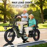 VIPCOO R1 Fat Tire 3-Wheel Electric Bike