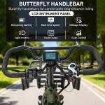 VIPCOO R1 Fat Tire 3-Wheel Electric Bike