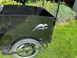 Cangoo Cargo Electric Tricycle 36V 6-Speed