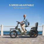VIPCOO R1 Fat Tire 3-Wheel Electric Bike
