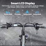 K820 250W Electric Bike with 40 Miles Range