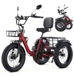48V Electric Folding Tricycle with Fat Tires