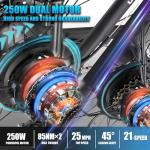 JESRIDER 250W Dual Motor Electric Mountain Bike