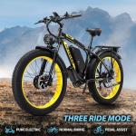 JESRIDER 250W Dual Motor Electric Mountain Bike
