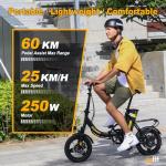 Hidoes C5 Folding Electric Bike with Removable Battery