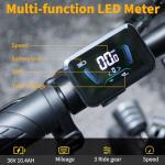 Hidoes C5 Folding Electric Bike with Removable Battery