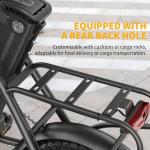Hidoes C5 Folding Electric Bike with Removable Battery