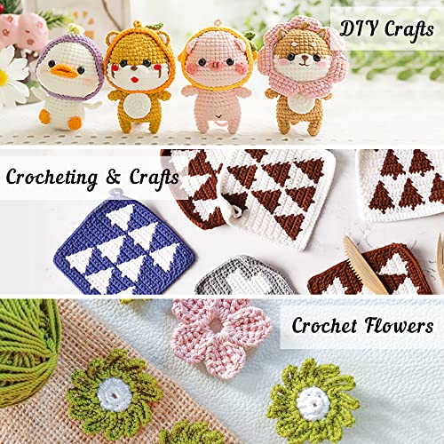 113-Piece Crochet Set with 1600 Yards Assorted Yarn