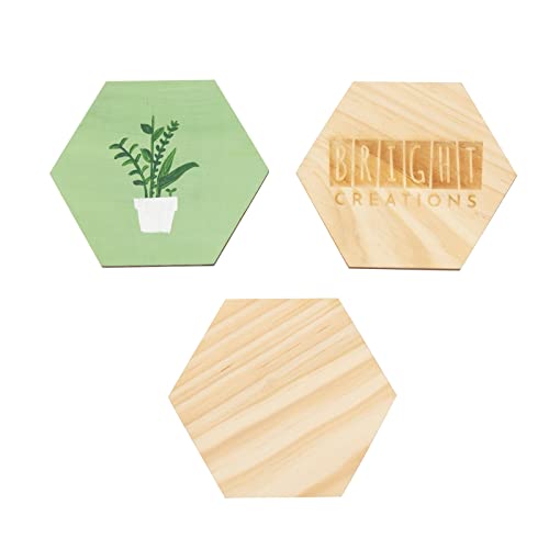 15 Pack Unfinished Wooden Hexagon Cutouts for DIY Crafts