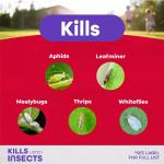 Bonide Systemic Insect Control for House Plants