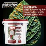 Gnat Stop 1L Plant Control Bucket