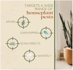 Baby Bio Houseplant Bug Killer 1L - Fast Acting