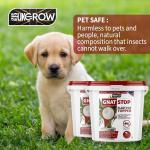 Gnat Stop 1L Plant Control Bucket