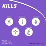 Bonide 951 House Plant Insect Control 8 Oz