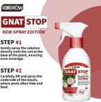 Gnat Stop Spray – Natural Gnat Control 500ml/1L